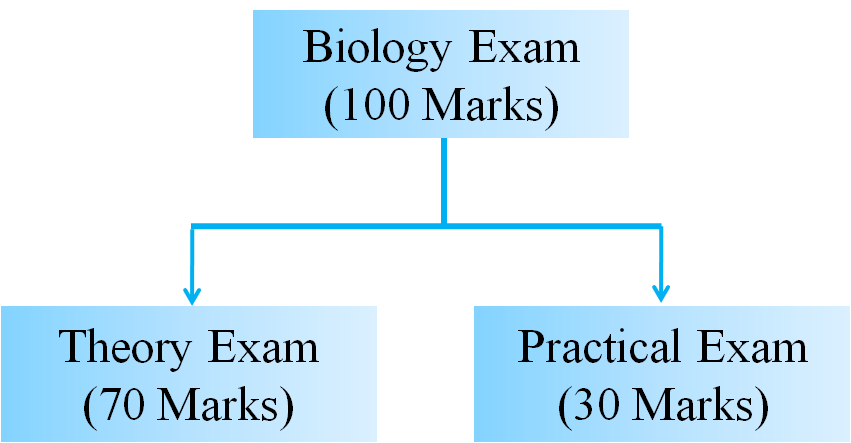 How to Plan a good score in biology, CBSE Examination?